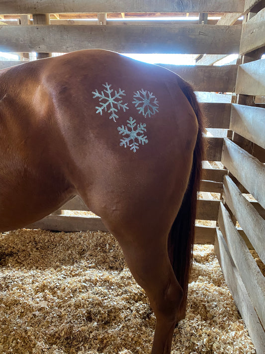 Christmas - Snowflakes