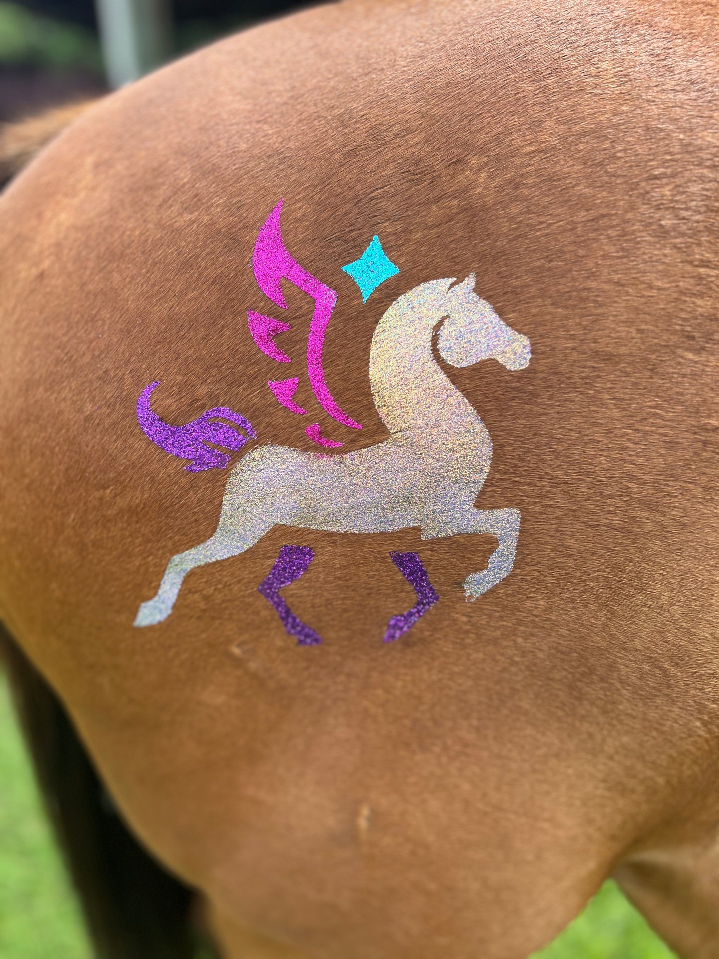 Pegasus Minimarx
