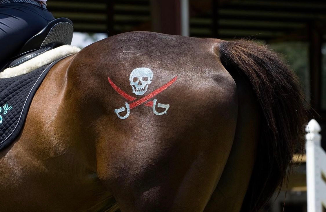 Pirate Minimarx