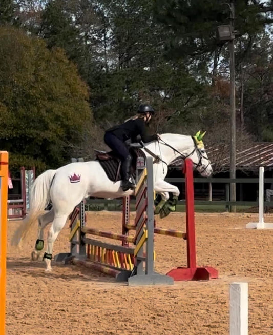 Royal King Crown Minimarx