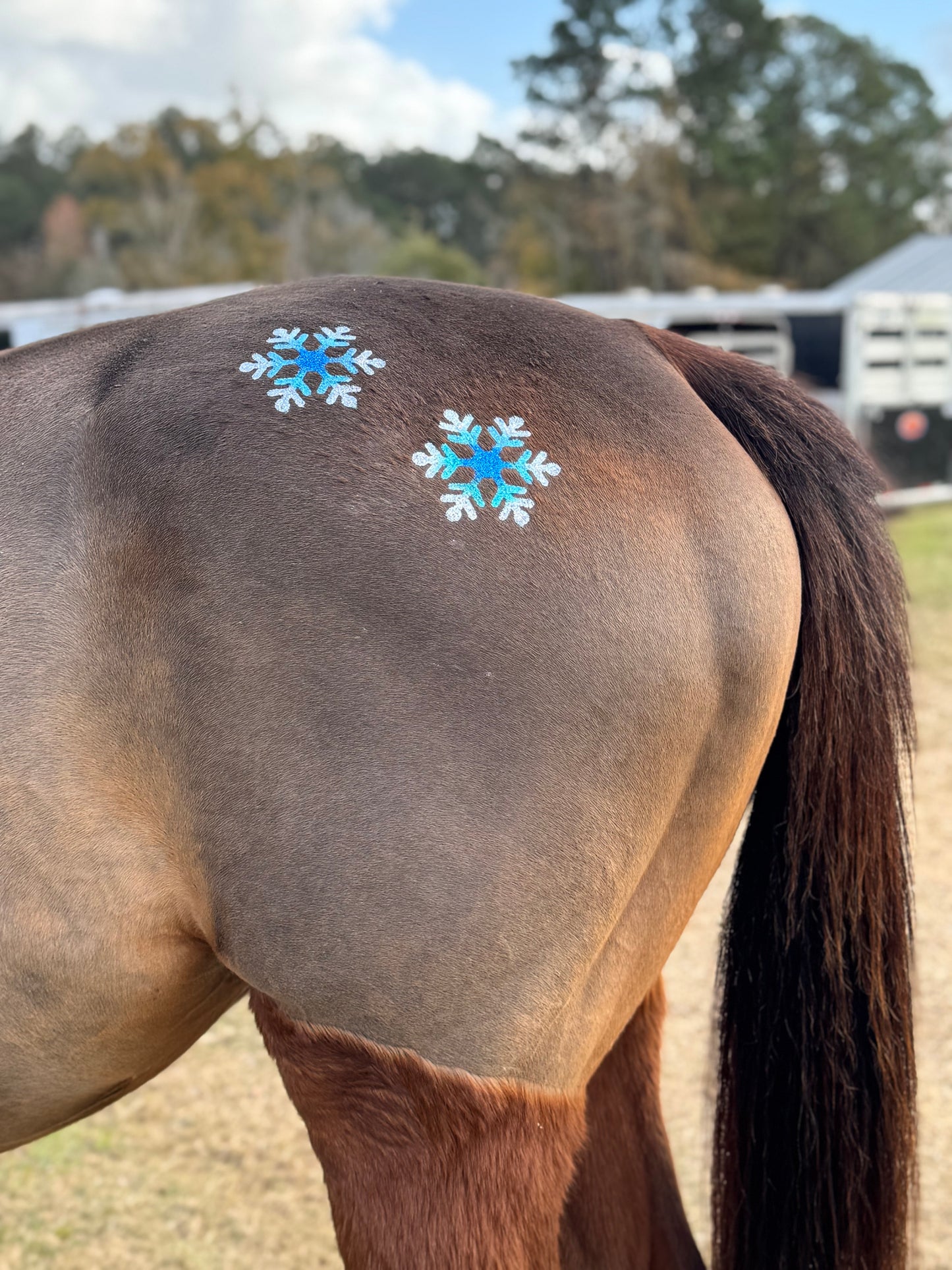 Snowflake Single