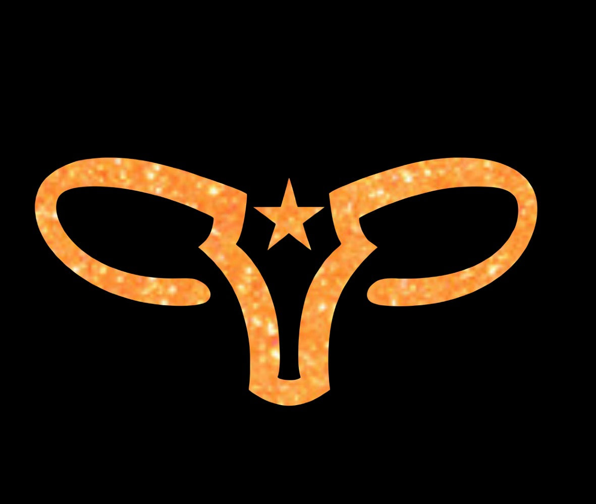 Painted Pony Riding Academy