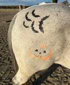 Halloween - Bats Minimarx