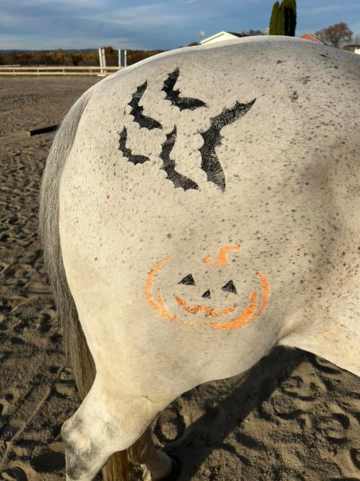 Halloween - Bats