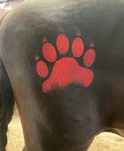 Bear Paw Minimarx