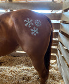 Christmas - Snowflakes