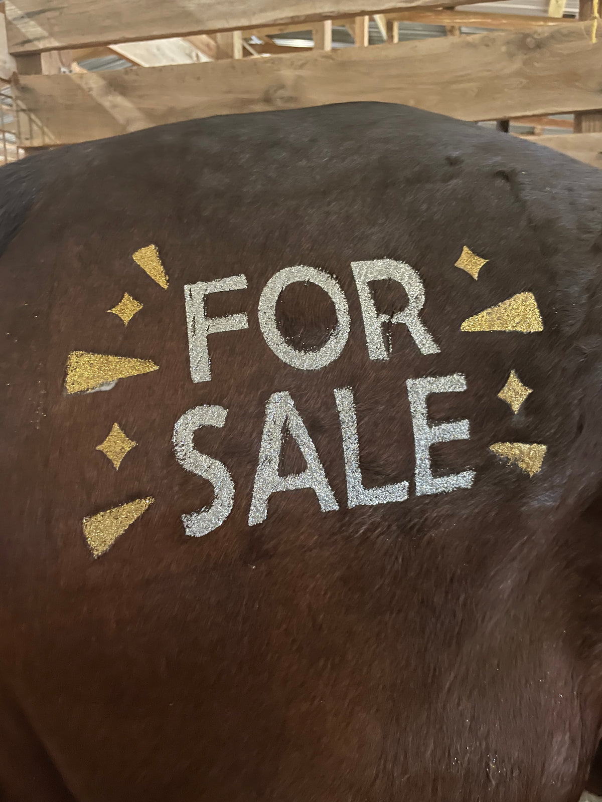 For Sale