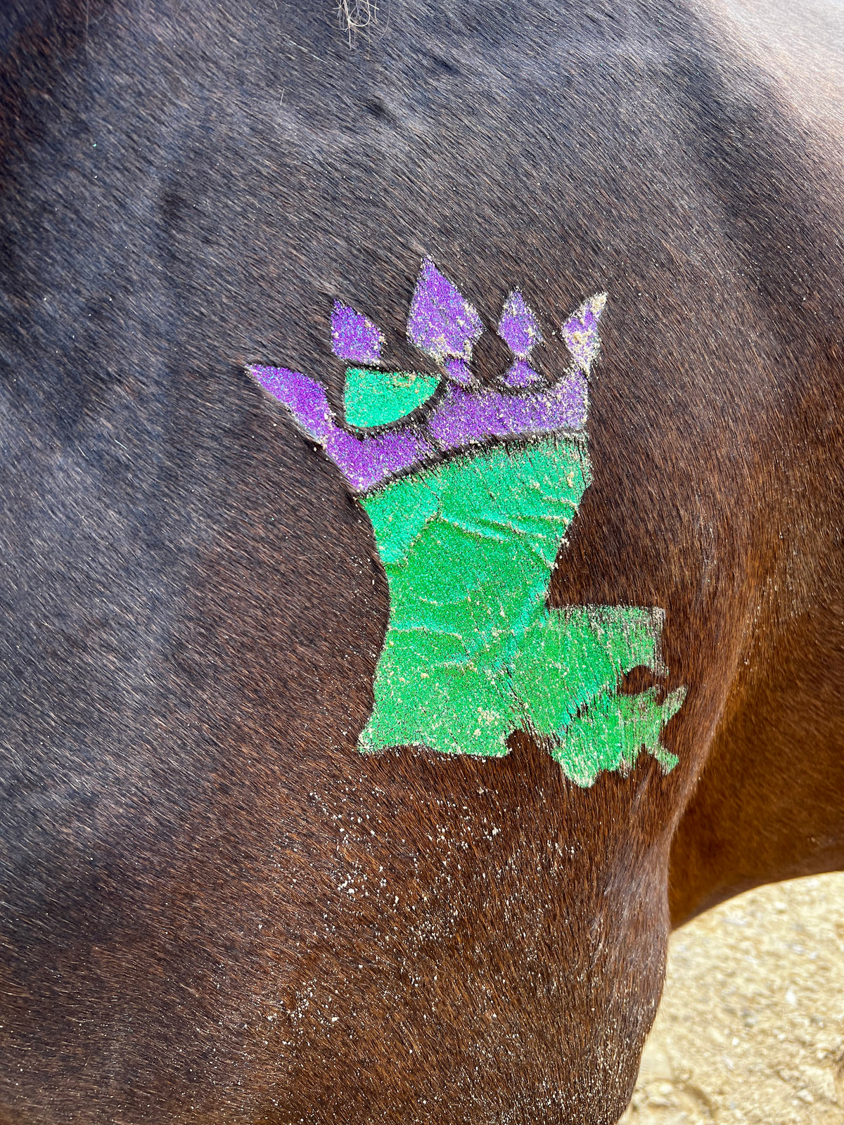 Louisiana Crown Minimarx