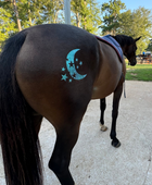 Moon and Many Stars Minimarx