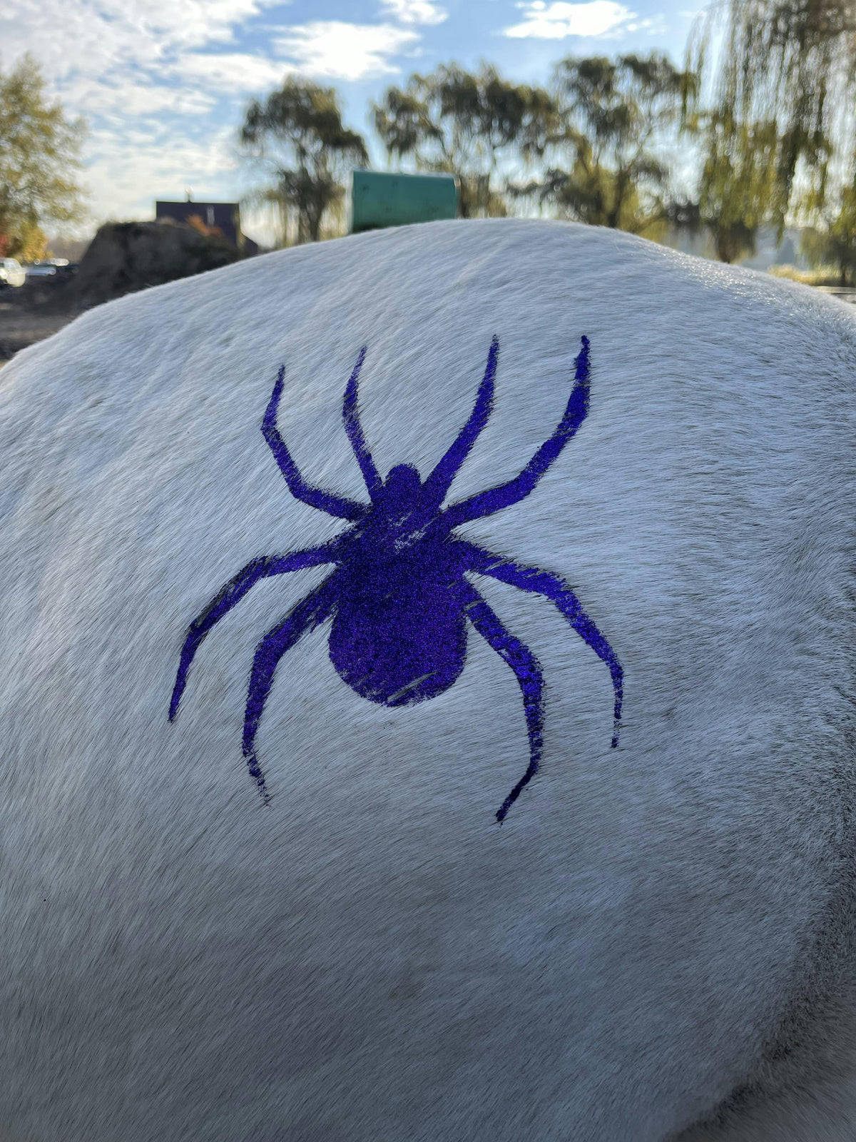 Halloween - Spider Minimarx