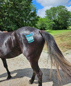 Drinks - On The Rocks Minimarx