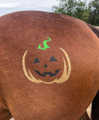 Halloween - Jack O Lantern Minimarx