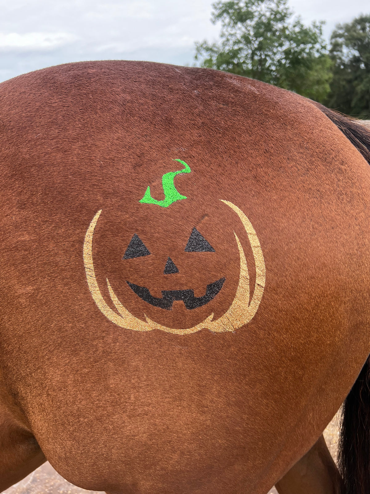 Halloween - Jack O Lantern Minimarx
