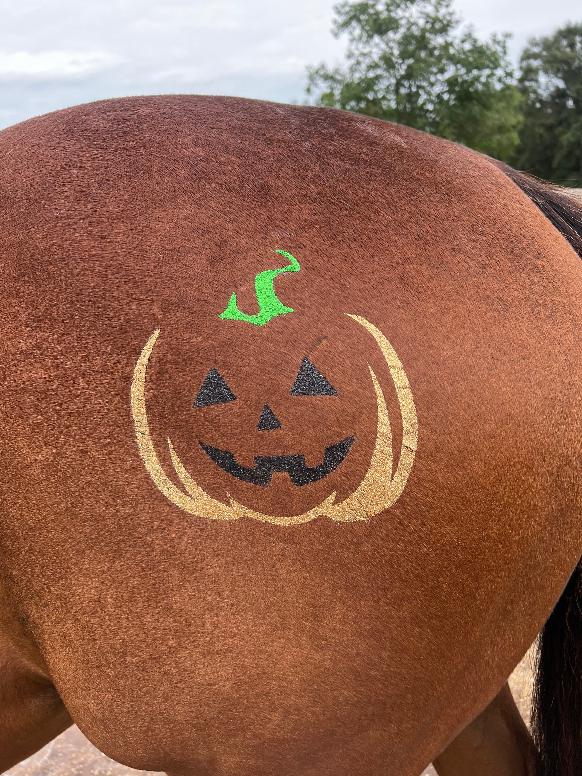 Halloween - Jack O Lantern Minimarx