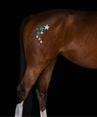 Star Swirl