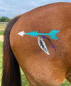 Arrow with Feather