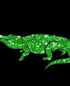 Alligator