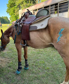 Lightning Bolt Minimarx