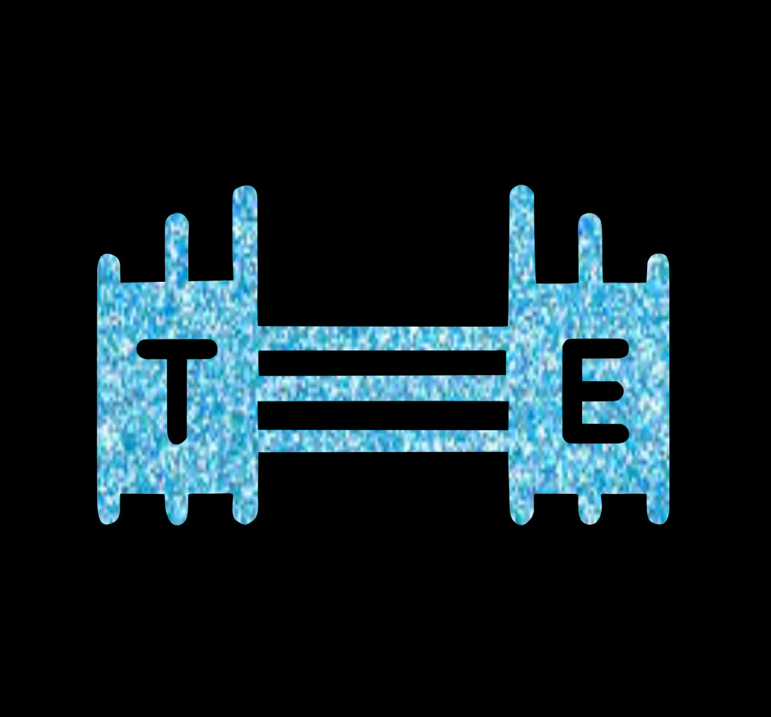 Toronto Equestrian Center Custom Logo