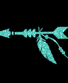 Arrow with Feather