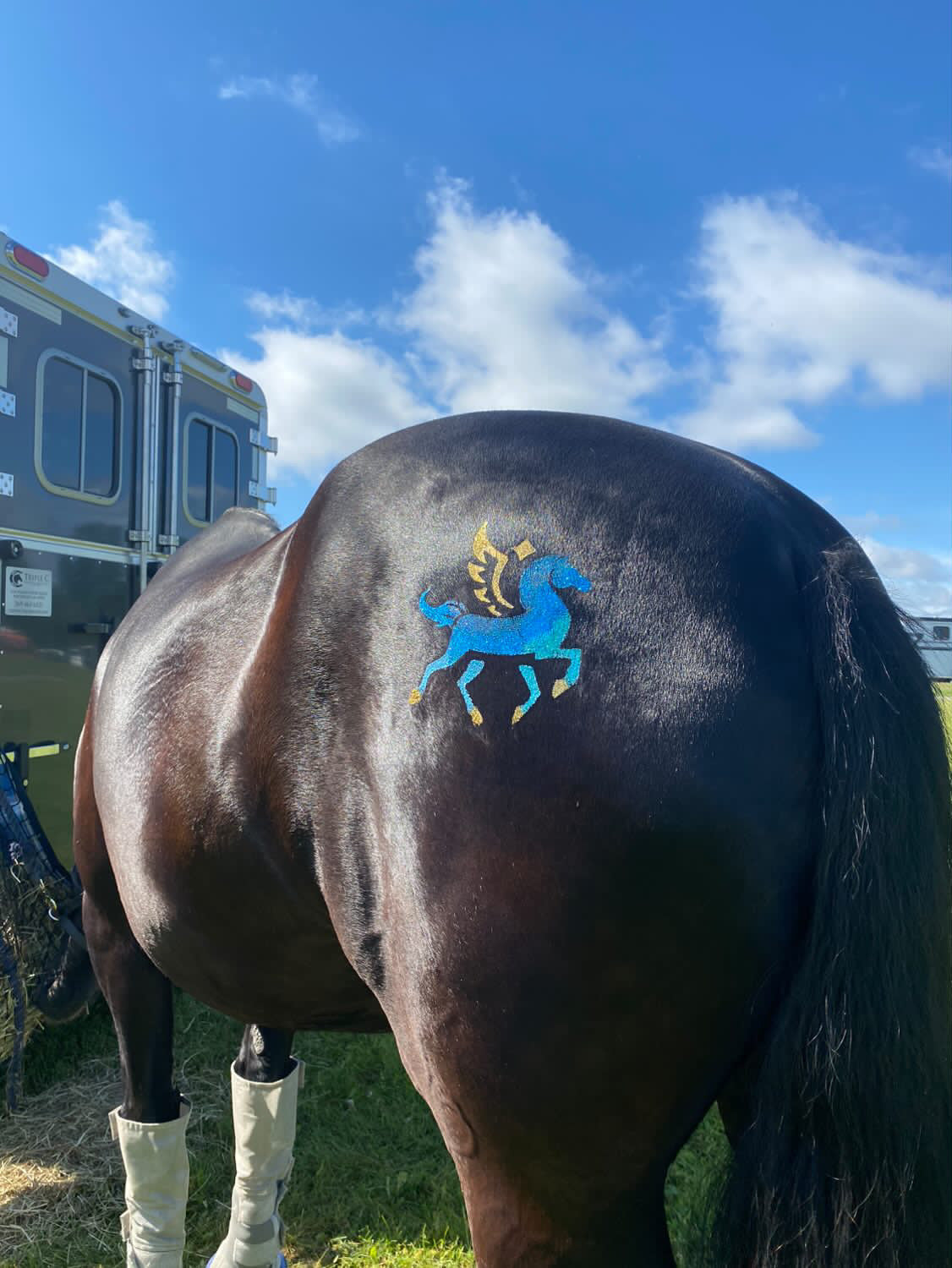 Pegasus Minimarx