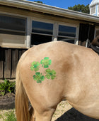 Clover Cluster Minimarx