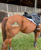 Royal Princess Tiara