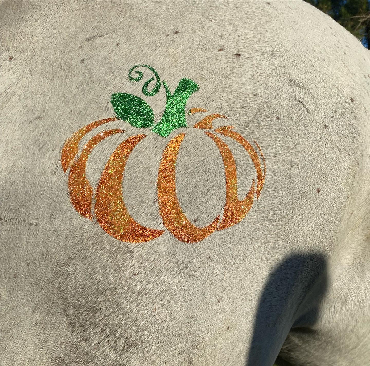 Halloween - Pumpkin