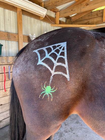 Halloween - Spider Web