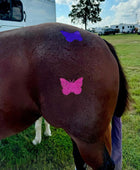 Butterfly Minimarx