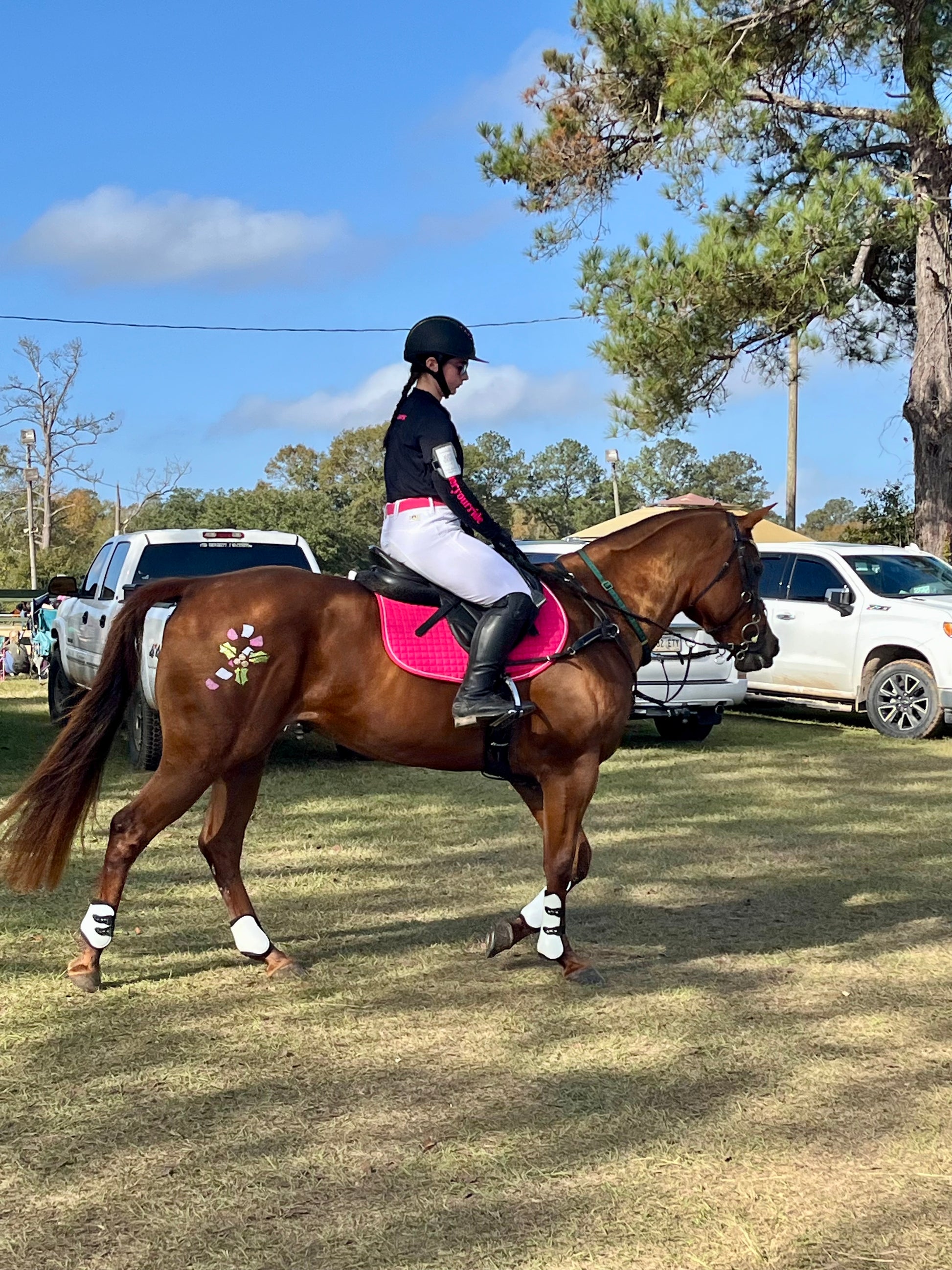 Christmas - Candy Cane