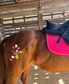 Christmas - Candy Cane