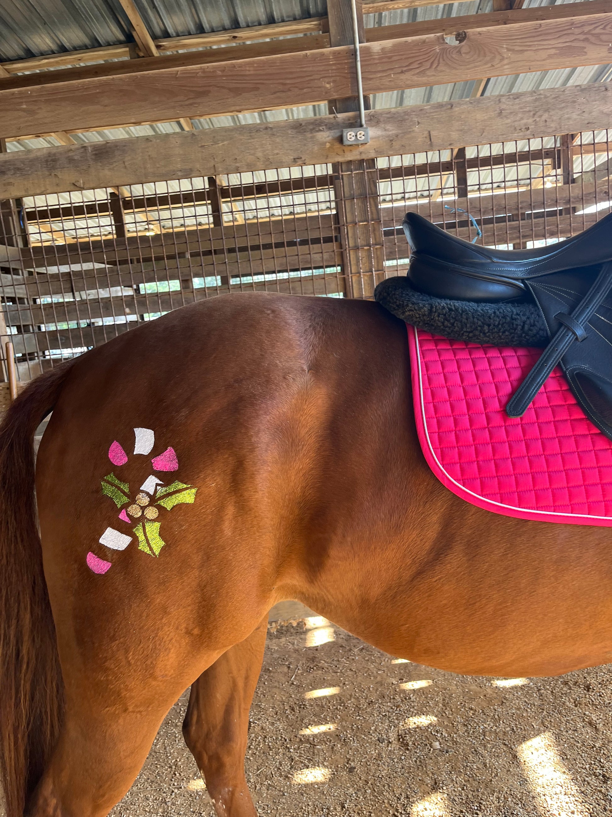 Christmas - Candy Cane