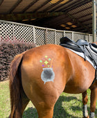 Halloween - Cauldron Minimarx