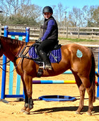 Cotton Candy Minimarx