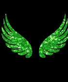 Bird Wings