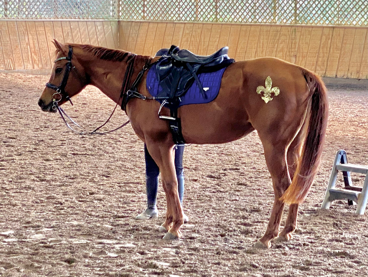 Fleur de Lis