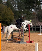 Royal King Crown Minimarx