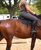 Royal Princess Tiara