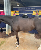 Royal Crown Minimarx