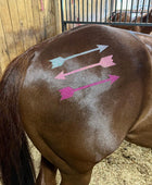 Arrows