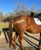 Lightning Bolt Minimarx