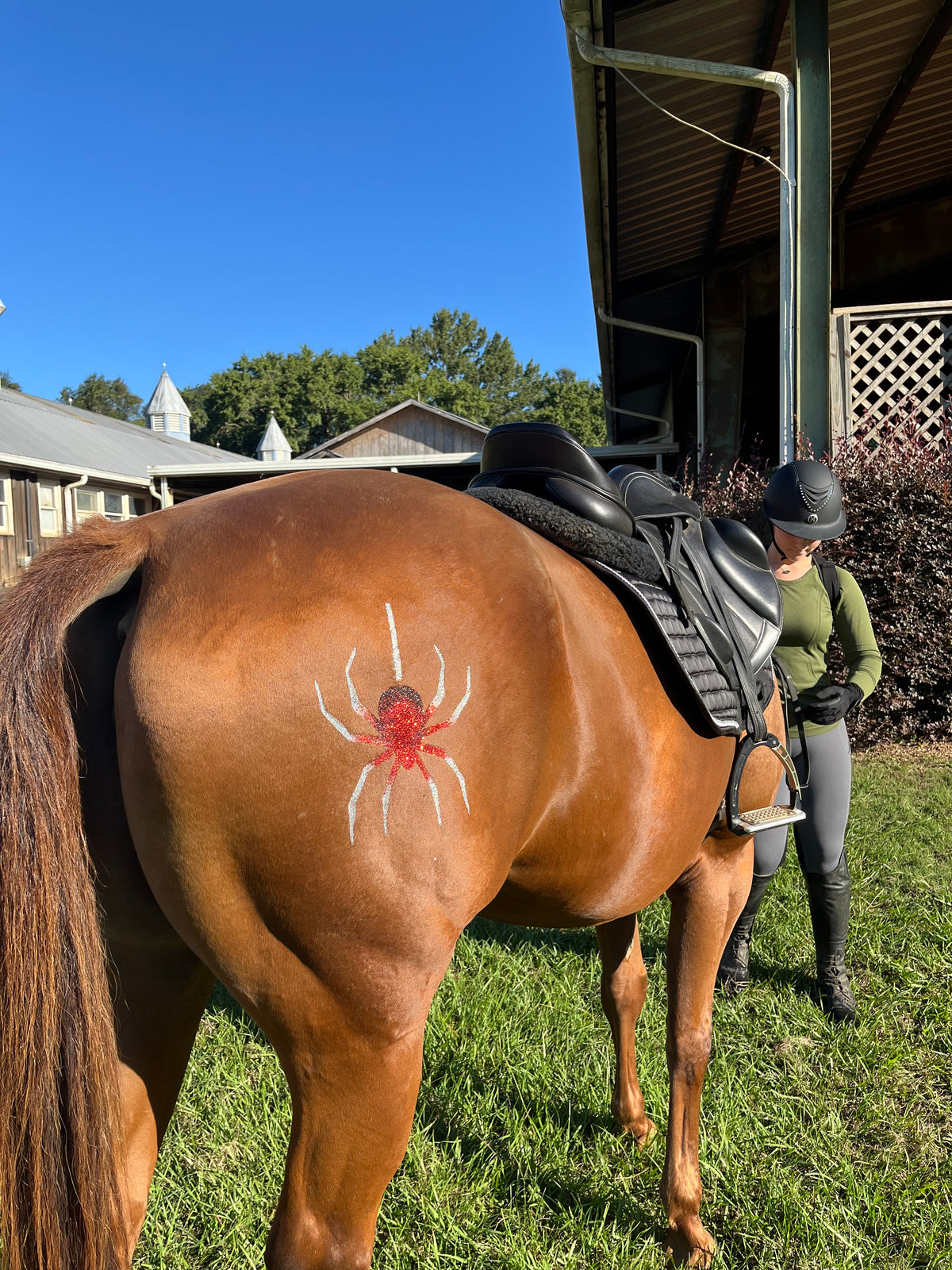 Halloween - Spider Minimarx