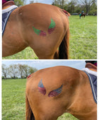 Bird Wings Minimarx