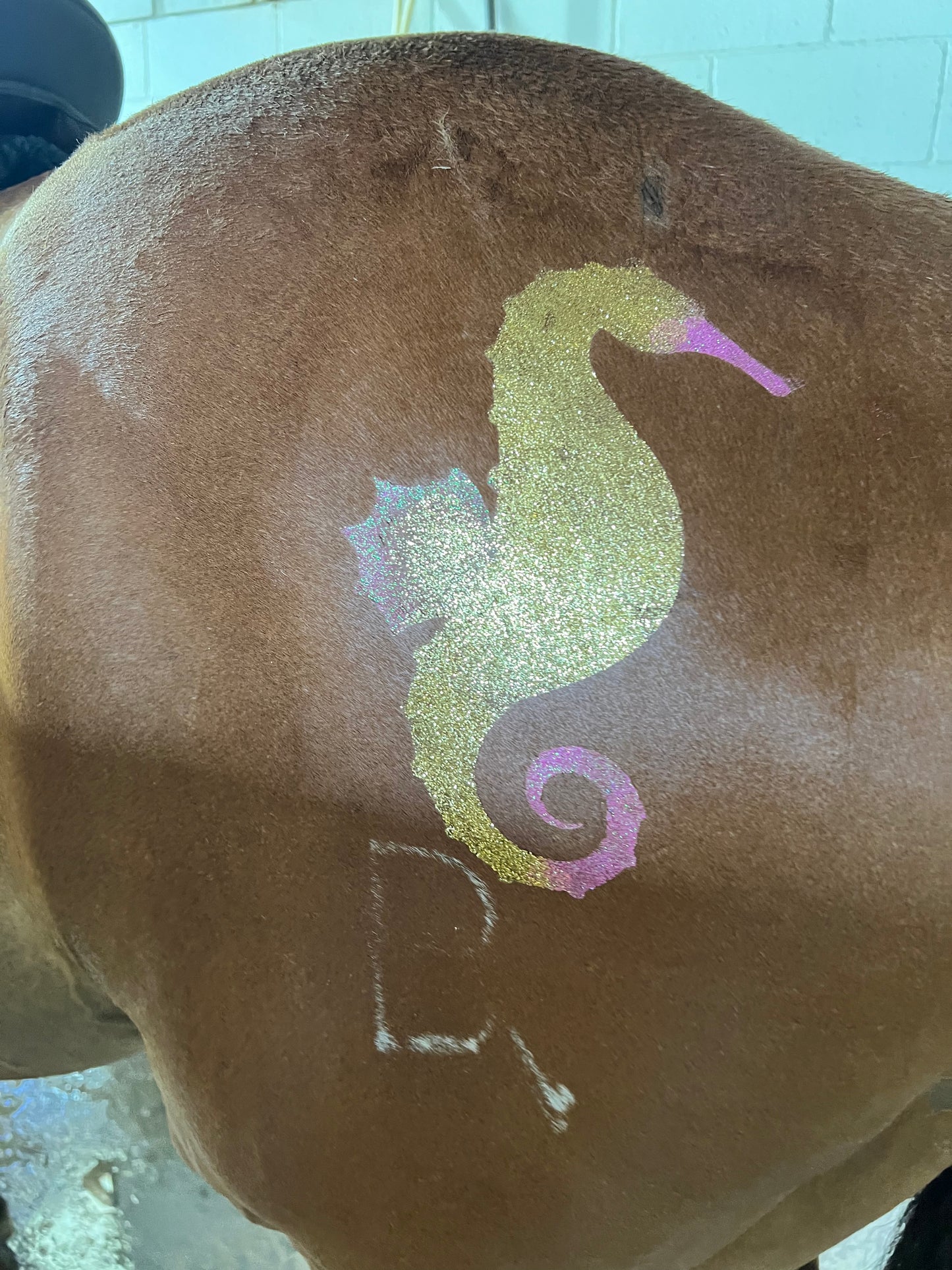 Seahorse