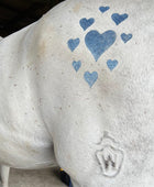 Hearts Multi MiniMarx