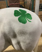Clover Minimarx