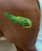 Alligator