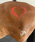 Heart Silhouette