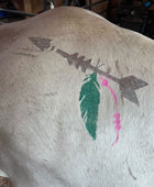 Arrow with Feather